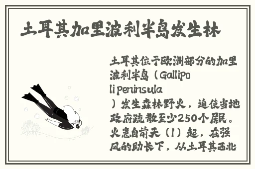 18🈲在线观看九九九麻豆